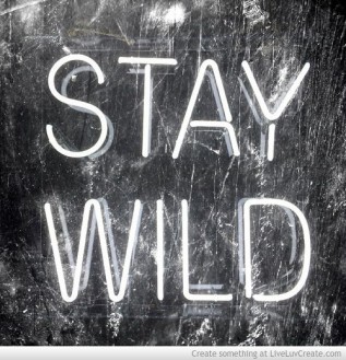 stay_forever_wild_tn-603223